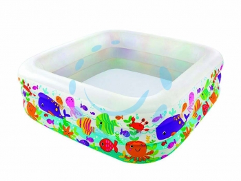 16161545831181-intexpiscinagonfiabilequadraaquarium3annicm159x159x50hpesokg3600art57471