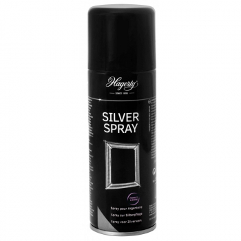 16769716165317-hagertysilversprayperargenteria200ml