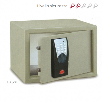 17654534643785-technomaxcassettadisicurezzaelettronicadimh250l350p250tse2