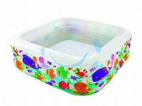 16161545831181-intexpiscinagonfiabilequadraaquarium3annicm159x159x50hpesokg3600art57471