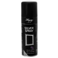 16769716165317-hagertysilversprayperargenteria200ml