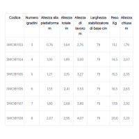 17492023738218-sveltscalaprofessionaleperusointensivocon2ruotemodmoby5gradini